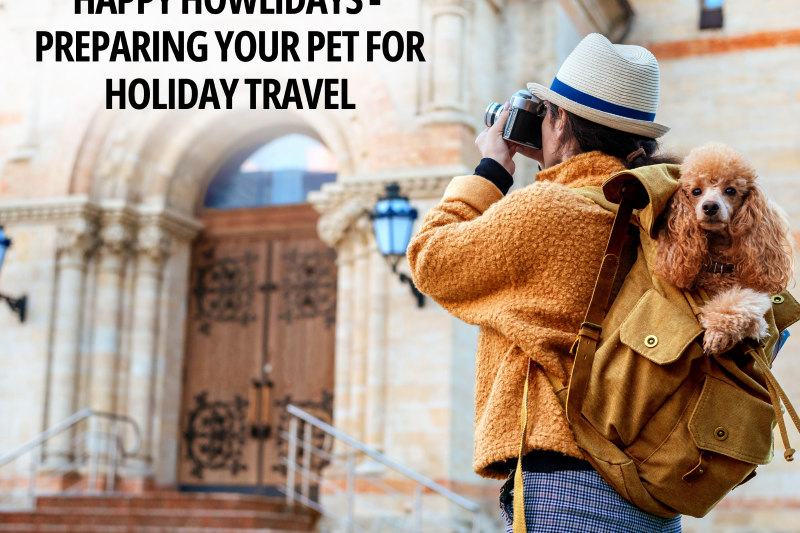 Happy Howlidays - Preparing Your Pet for Holiday Travel